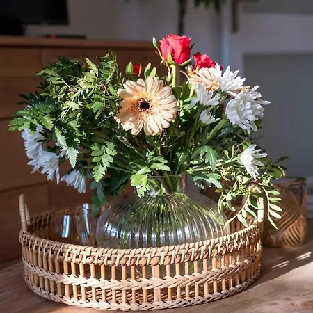 Elsea * Vernet-les-Bains